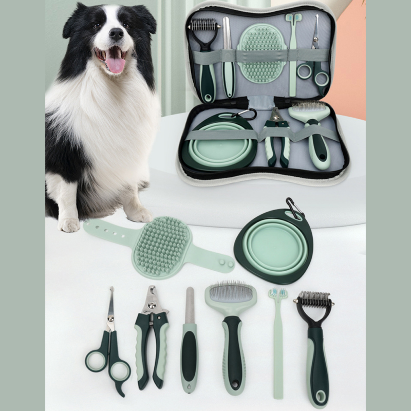 immagine_2024-03-18_224556756