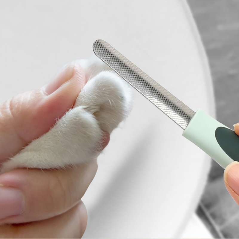 immagine_2024-03-18_224611705